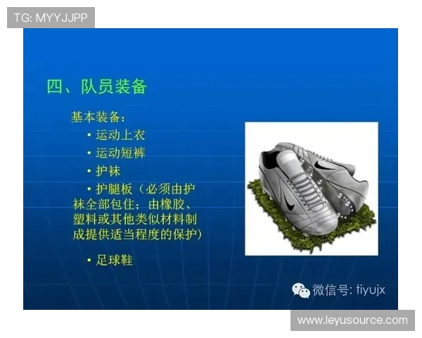 提前终止比赛的规则细节有哪些，裁判该如何合法判罚？